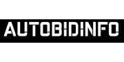 Видалити історію авто з Autobidinfo com