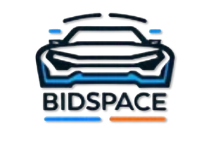 Видалити історію авто з bidspace.info