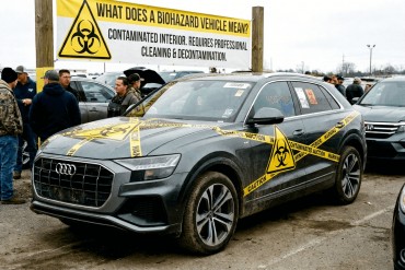 Автомобили с Biohazard: риски, проверка тайтла и советы по покупке